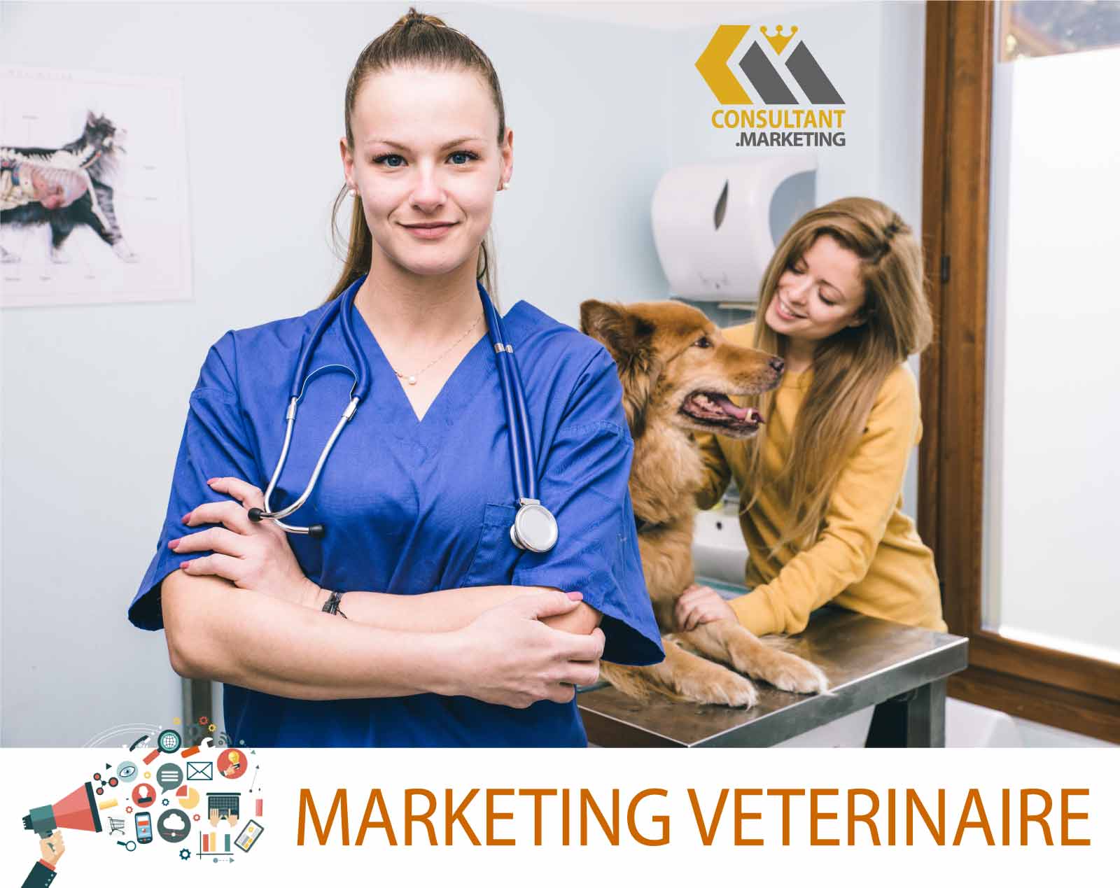 marketing pour un vétérinaire